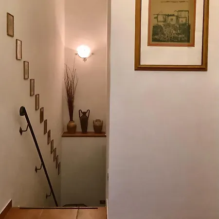 Il Bagolaro *